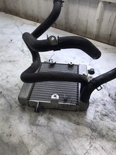 07 Honda NSS 250 NSS250 Reflex Scooter radiador e mangueiras linhas de refrigerante de água comprar usado  Enviando para Brazil