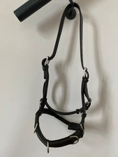 kappzaum gebraucht kaufen  Achterwehr