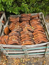 suffolk pan tiles for sale suffolk pan tiles for sale HAVERHILL