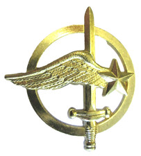 Beret badge air d'occasion  Expédié en Belgium