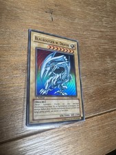 Blauäugiger drache dpkb gebraucht kaufen  München