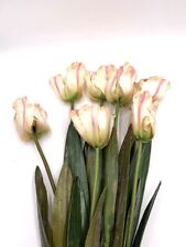 Tulipani pappagallo usato  Riccione