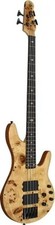 Pinnacle active bass for sale  Madison