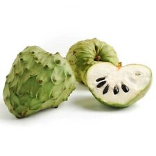 Cherimoya chirimoya custard for sale  Miami