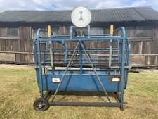 sheep lamb scales for sale sheep lamb scales for sale BEWDLEY