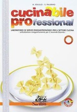 Cucinabile professional labora usato  Roma
