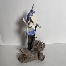 Dwarf iris flower for sale  Springfield