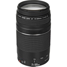 Mint canon 300mm for sale  Laguna Hills