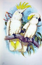 Original old vintage for sale Original old vintage for sale  UK