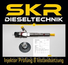 Einspritzdüse 0445110213 bosc gebraucht kaufen  Castrop-Rauxel