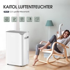 Luftentfeuchter elektrisch rau gebraucht kaufen  Korschenbroich