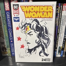 Wonder woman blank for sale  Medina