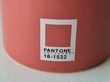 Pantone Universe Vaso 16-1532 Color Crabapple / Arancione-Rosa comprar usado Pantone Universe Vaso 16-1532 Color Crabapple / Arancione-Rosa comprar usado  Enviando para Brazil