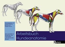 Arbeitsbuch hundeanatomie gebraucht kaufen  Berlin