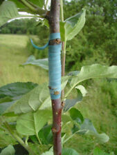 Flexiband greffe fruitiers d'occasion  Antony