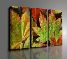 Quadro etnico foglie usato  Ragusa
