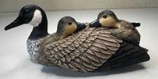chicks heritage for sale  San Angelo