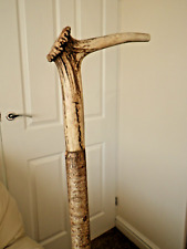 Hazel antler walking for sale  TORRINGTON
