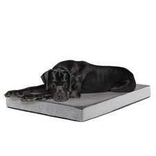 Orthopedic dog bed for sale  Saint James