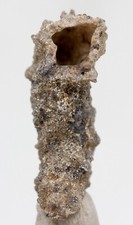 Fulgurite lightning glass for sale  Tucson