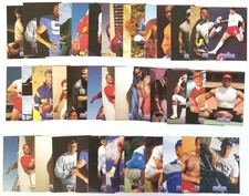 Pro line portraits usato  Italia