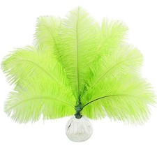 Pcs natural lemon for sale  Los Angeles