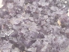 Violetter fluorit china gebraucht kaufen Violetter fluorit china gebraucht kaufen  Weinböhla