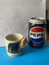 Blue witch yorkshire for sale Blue witch yorkshire for sale  ABBOTS LANGLEY