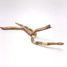 Vintage wooden snake for sale  Toledo