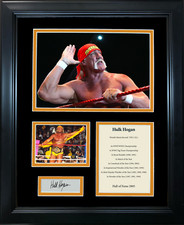 Framed hulk hogan for sale  Mullica Hill
