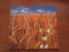 Compact disc musicale usato  Scicli