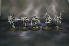 Space wolf wolves for sale  CAMBRIDGE