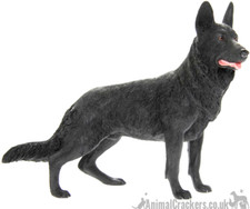 Black alsatian german for sale Black alsatian german for sale  PRESTON