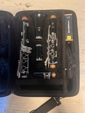 Yamaha ycl 255s usato  Scandicci