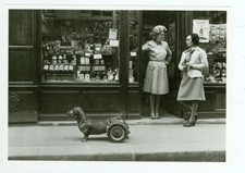 CÃO-CÃO SOBRE RODAS NA FRENTE DA LOJA-DACHSHUND-B/W-1977--(CÃO-71*), usado comprar usado  Enviando para Brazil