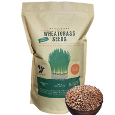 Bulk organic wheatgrass for sale  Vernon Hills
