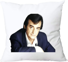 Housse coussin personnalisable d'occasion  Vidauban