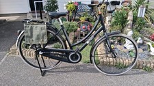Quality dutch stnct for sale  INGATESTONE