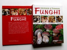Cercare trovare funghi usato  Trivignano Udinese