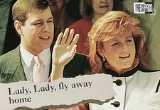 Lady lady fly for sale  DUNDEE