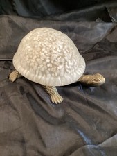 Vintage tortoise turtle for sale  WOODHALL SPA