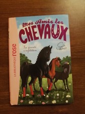 Livre amis chevaux d'occasion  Pau
