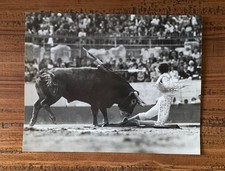 Photographie photo torero d'occasion  Bellegarde