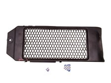 Griglia radiatore radiator usato  Italia