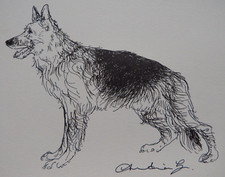 Original pen ink for sale  ABERYSTWYTH