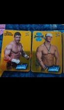 Lotto carte wwe usato  Volvera
