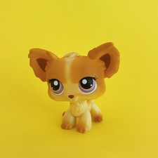 Littlest Pet Shop LPS AUTÊNTICO #96 Chihuahua Filhote Amarelo Bronzeado Rosa Olhos Roxos  comprar usado  Enviando para Brazil