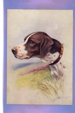 Early reszke pointer for sale  THETFORD