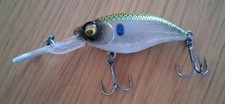 Westin buzzbite crankbait gebraucht kaufen  Lehrte