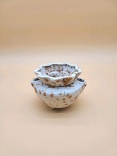 African violet pot for sale  Saint Cloud
